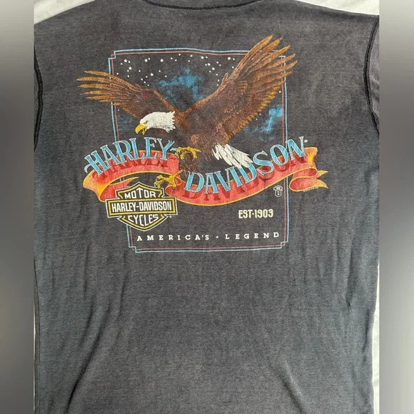 Vintage Harley-Davidson Charcoal Tee with Eagle Graphic - Picture 1 of 10